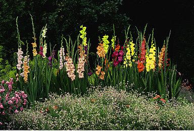 逃脱解谜冒险游戏《黄昏旅店》TV动画化决定